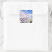 Yoshino Cherry Vierkante Sticker (Tas)