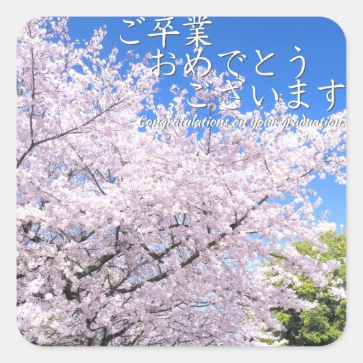 Yoshino Cherry Vierkante Sticker (Voorkant)