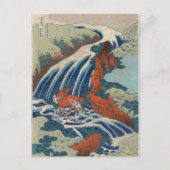 Yoshitsune Umarai waterfall in Yoshino in Washingt Briefkaart (Voorkant)