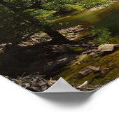 Yosimite sentinal bridge poster VANAF 14.95 (Hoek)