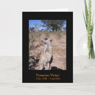 Yossarian - Legends Card Kaart