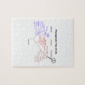 You Are Here Phylogenetic Tree Of Life (Biology) Legpuzzel (Horizontaal)