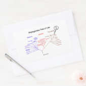 You Are Here Phylogenetic Tree Of Life (Biology) Rechthoekige Sticker (Envelop)