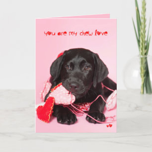 You are my Chew Love Black Lab Valentine Feestdagen Kaart