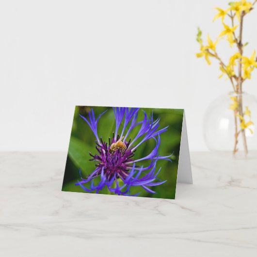 You are sweet as honey greeting kaart (Gele Bloem)