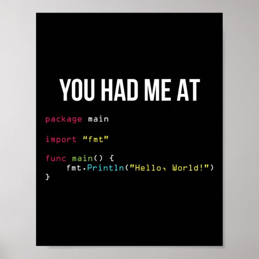 You Had Me At Hello World Coding Cool Gaming Chris Poster (Voorkant)