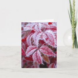 You melt the frost away greeting kaart