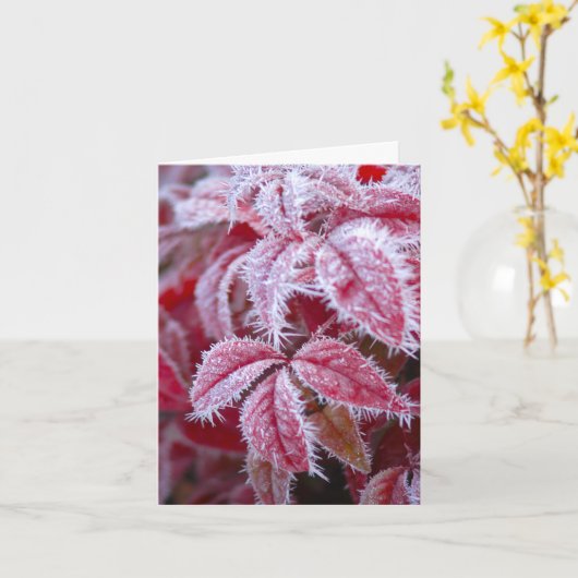 You melt the frost away greeting kaart (Gele Bloem)