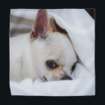 You pet dog puppy custom foto chihuahua bandana<br><div class="desc">Your pet dog puppy custom foto chihuahua. Customize is met Your foto of pets,  dogs,  cats...  Lovely custom gift for animal lovers. dog,  puppy,  animal,  custom foto, cute, pets,  chihuahua</div>