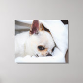 You pet dog puppy custom foto chihuahua canvas afdruk (Voorkant)
