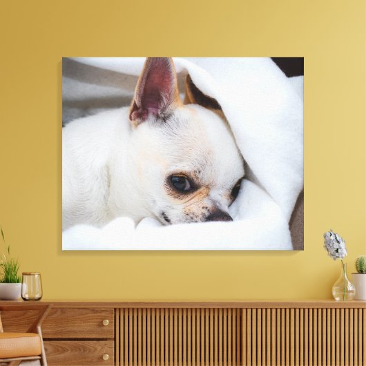 You pet dog puppy custom foto chihuahua canvas afdruk (Insitu (Woonkamer))