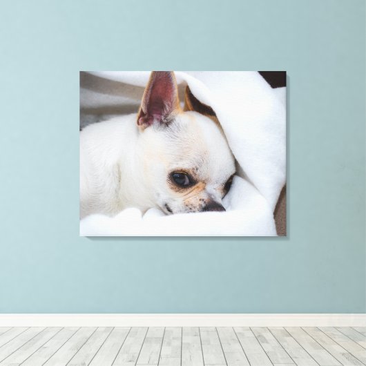 You pet dog puppy custom foto chihuahua canvas afdruk (Insitu (Houten vloer))