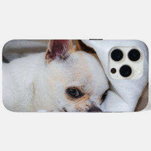 You pet dog puppy custom foto chihuahua iPhone 15 pro max hoesje