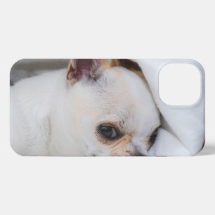 You pet dog puppy custom foto chihuahua iPhone 13 hoesje