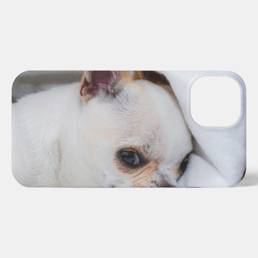 You pet dog puppy custom foto chihuahua iPhone hoesje (Achterkant horizontaal)