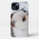 You pet dog puppy custom foto chihuahua iPhone hoesje (Achterkant)