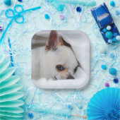 You pet dog puppy custom foto chihuahua papieren bordje (Feest)