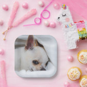 You pet dog puppy custom foto chihuahua papieren bordje (Feest)