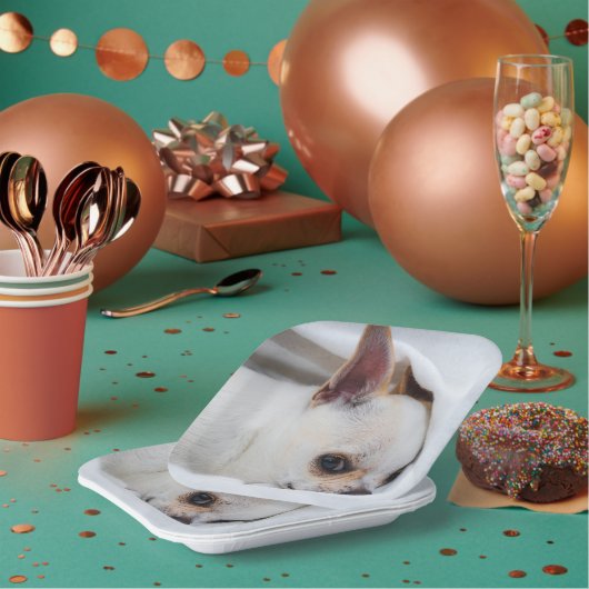 You pet dog puppy custom foto chihuahua papieren bordje (Multi)