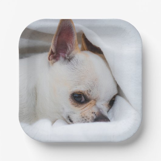 You pet dog puppy custom foto chihuahua papieren bordje (Voorkant)