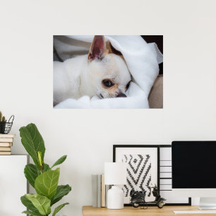 You pet dog puppy custom foto chihuahua poster