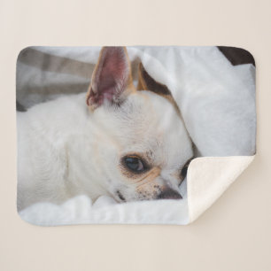 You pet dog puppy custom foto chihuahua sherpa deken