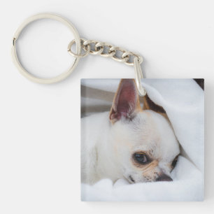 You pet dog puppy custom foto chihuahua sleutelhanger