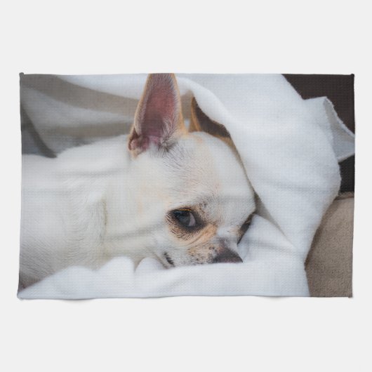 You pet dog puppy custom foto chihuahua theedoek (Horizontaal)