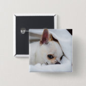 You pet dog puppy custom foto chihuahua vierkante button 5,1 cm (Voorkant /achterkant)