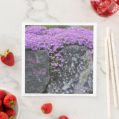 You Rock Paarse Phlox Servet (Insitu)