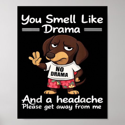 You Smell Like Drama And A Headache Please Get Awa Poster (Voorkant)