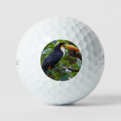 You Toucan Sit In The Treetops, Golfballen (Voorkant)