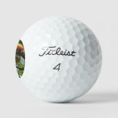 You Toucan Sit In The Treetops, Golfballen (Logo)