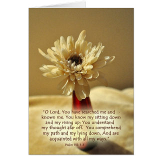 YouhavesearchedmeZazzle