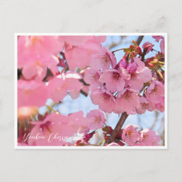 Youkou Cherry Briefkaart