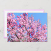 Youkou Cherry: Flat Card (Voorkant / Achterkant)