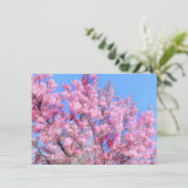 Youkou Cherry: Flat Card (Staand voorkant)