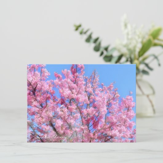 Youkou Cherry: Flat Card (Staand voorkant)