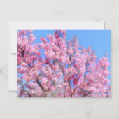 Youkou Cherry: Flat Card (Voorkant)