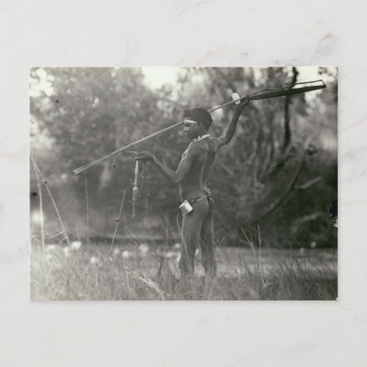 Young Aboriginal huter met speer en woomera Briefkaart (Voorkant)