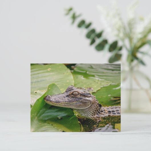Young Alligator Briefkaart (Staand voorkant)