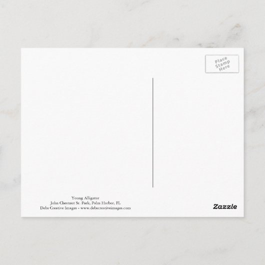 Young Alligator Briefkaart (Achterkant)