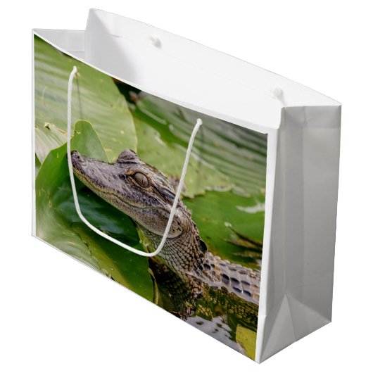 Young Alligator Groot Cadeauzakje (Voorkant Gekanteld)