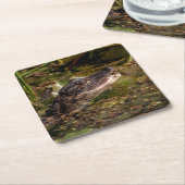 Young Alligator Kartonnen Onderzetters (Schuin)