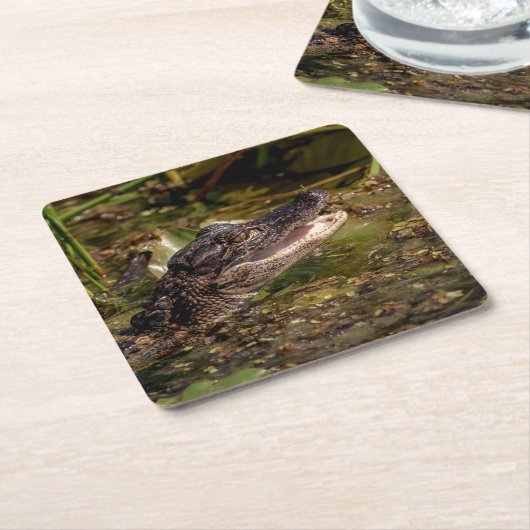 Young Alligator Kartonnen Onderzetters (Schuin)