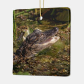 Young Alligator Keramisch Ornament (Links)