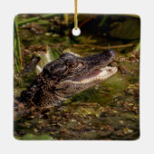 Young Alligator Keramisch Ornament (Achterkant)