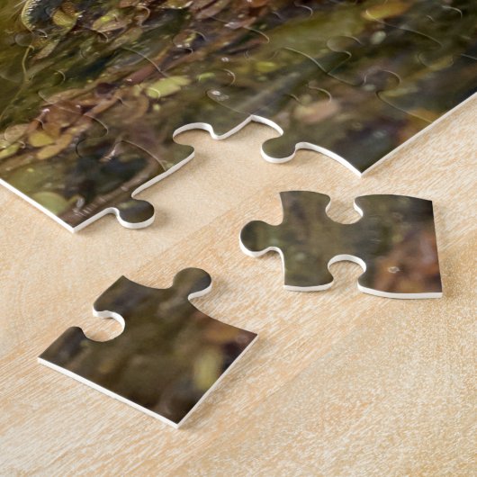 Young Alligator Legpuzzel (Zijkant)