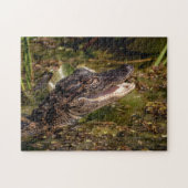 Young Alligator Legpuzzel (Horizontaal)