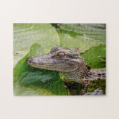 Young Alligator Legpuzzel (Horizontaal)